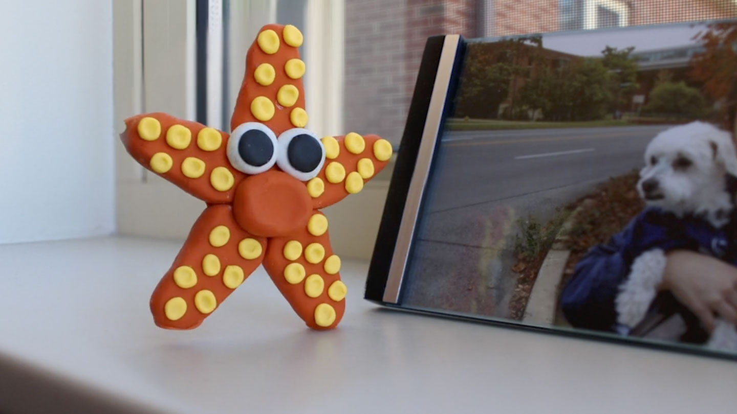 A stop motion clay starfish walks across a window sill.